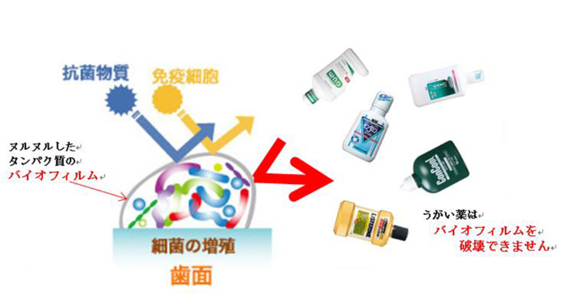 バイオフィルムのイメージ